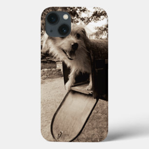 Dog Inside a Mailbox iPhone 13 Case