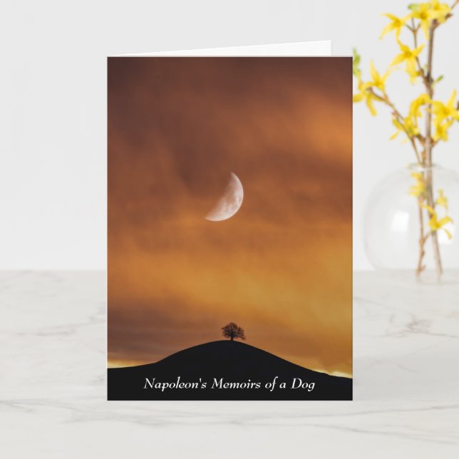 Dog Inspires Napoleon After the Battle of Bassano Card (Yellow Flower)