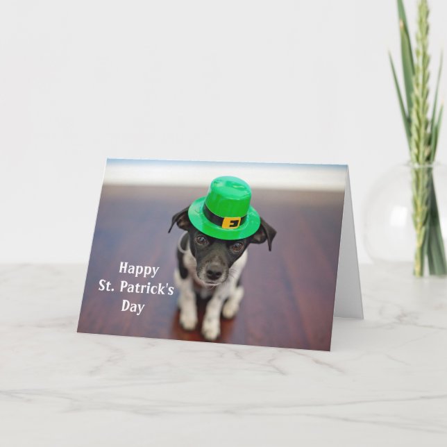 Dog Irish Hat St. Patrick's Day Holiday Card (Front)