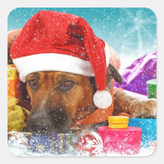 Dog is waiting for Christmas Square Sticker (Front)