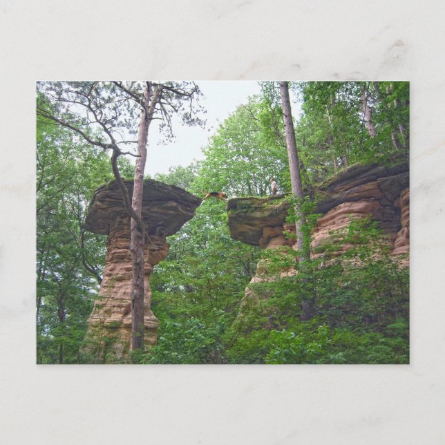 Dog Jumping from Stand Rock in Wisconsin Dells Postcard (Front)