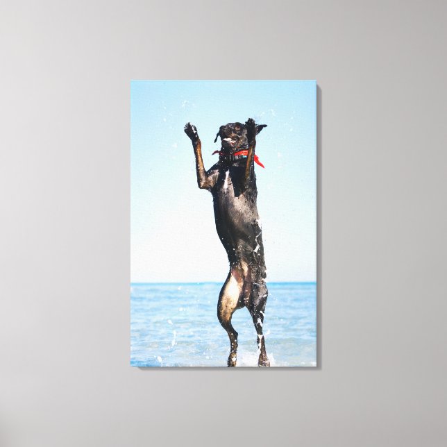 Dog jumping in water canvas print (Front)