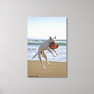 Dog jumping to catch a frisbee on beach canvas print