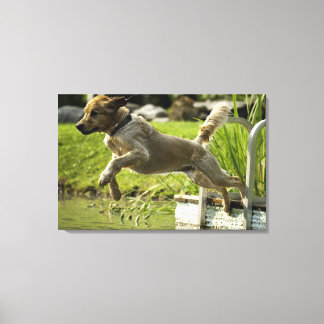 Dog jumps into pond canvas print