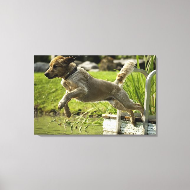 Dog jumps into pond canvas print (Front)