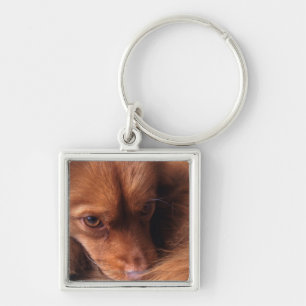 dog key ring