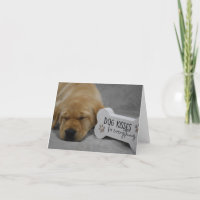 Dog Kisses Fix Everything Labrador Puppy
