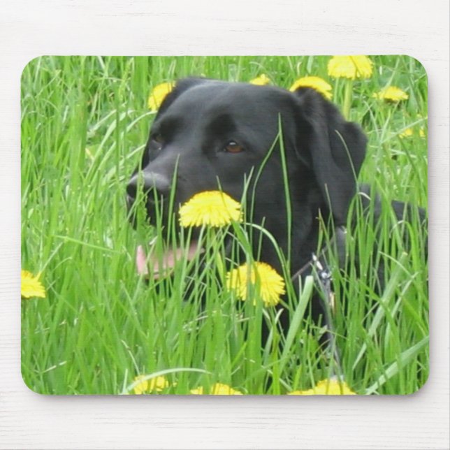 DOG LABRADOR RETRIEVER BLACK MOUSE PAD (Front)