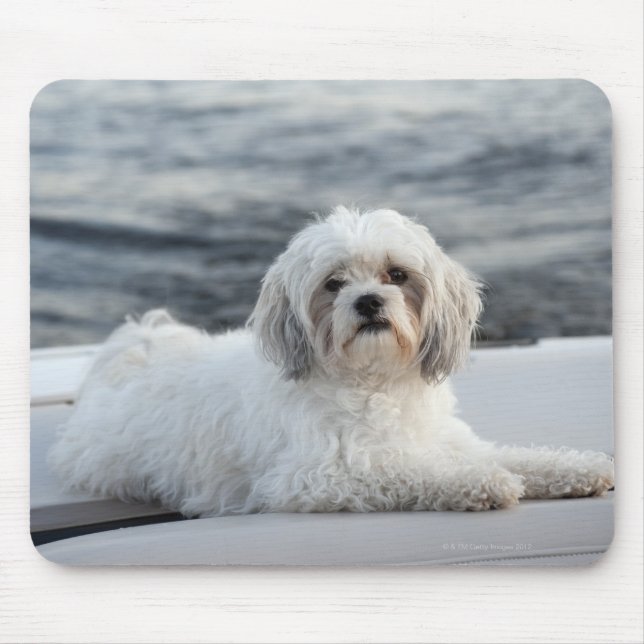 Dog laying by the water mouse pad (Front)