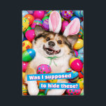Dog Laying on Easter Eggs<br><div class="desc">Eggs-cellent! | Avanti,  the Global Humor Brand™ has been entertaining the world with its Feel Good Funny greeting cards for over 40 years. Our characters live life to the fullest and celebrate the humor in everyday life.</div>