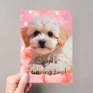 Dog Let's Party Birthday Acrylic Invitations