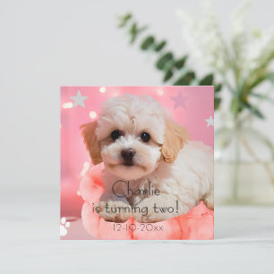 Dog Let's Party Birthday Save The Date