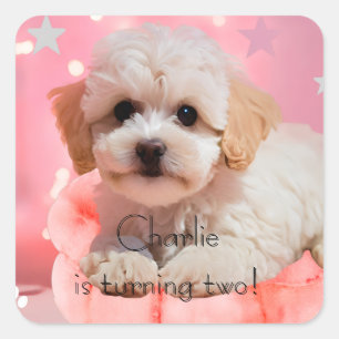 Dog Let's Party Birthday  Square Sticker