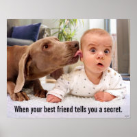 Dog Licking Baby's Ear