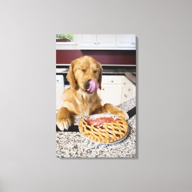 Dog licking nose after eating cherry pie in canvas print (Front)