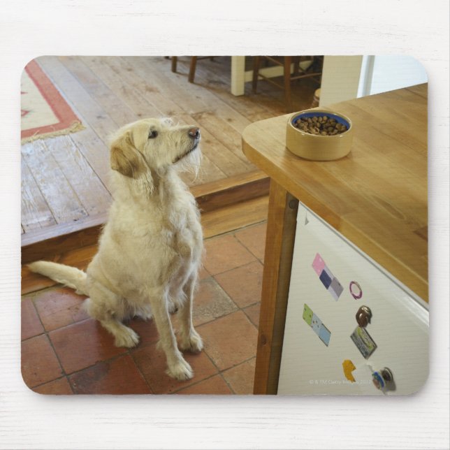 Dog looking at food on table. mouse pad (Front)