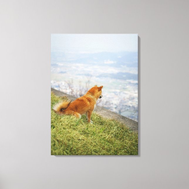 Dog looking down from on hill canvas print (Front)