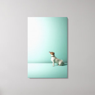 dog looking up into space canvas print