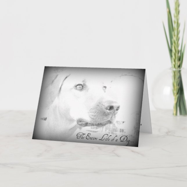 Dog Loss Card (Front)
