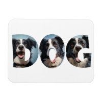 Dog Love i Cot Out Pictures