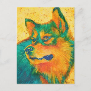 Dog Lover Alaskan Malamute Colourful Postcards