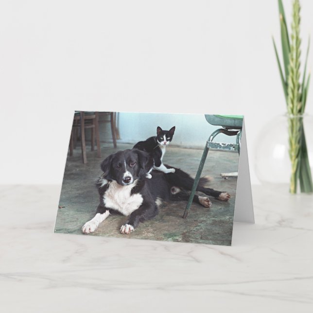 Dog lover, Animal Lover, Cat Lover - Blank Card (Front)