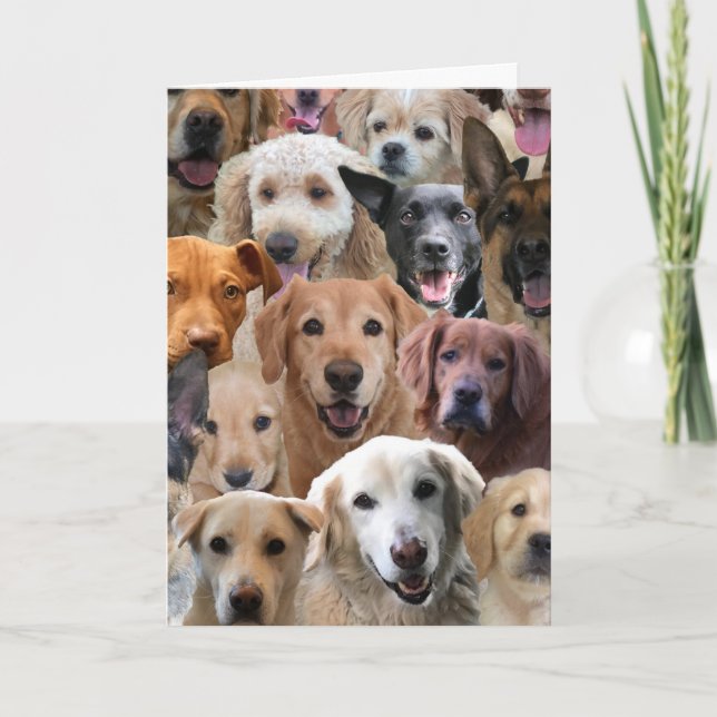 Dog Lover Birthday Card (Front)