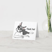 Dog lover Boston Terrier
