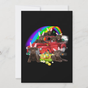 Dog Lover Bunny Chocolate Labrador Easter Day Card