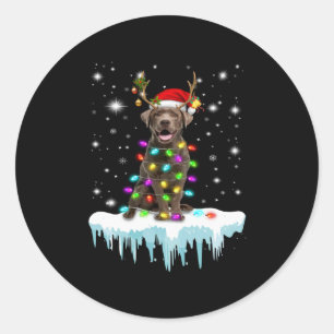 Dog Lover   Chocolate Labrador Christmas Light Classic Round Sticker