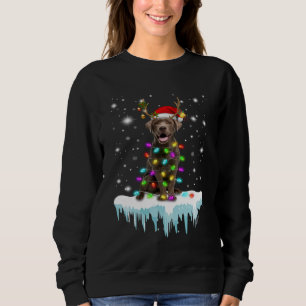 Dog Lover Chocolate Labrador Christmas Light Sweatshirt