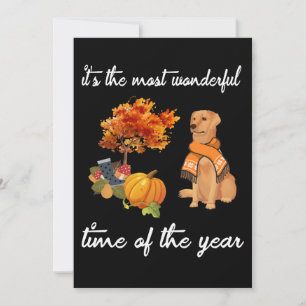 Dog Lover It's The Most Wonderful Time Of The Year Card