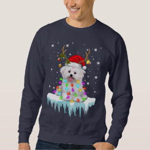 Dog Lover Maltese Christmas Fairy Light In Winter Sweatshirt