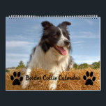Dog Lover Mixed Border Collie Calendar<br><div class="desc">A great present for dog lovers out there. This border collie calendar features various images of border collies doing what they do best.. Looking awesome! Spread a little canine happiness throughout the year and enjoy each months furry offering of border collie fun. Please leave a review if happy with your...</div>