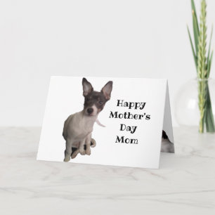 DOG LOVER MOTHER'S DAY CARD