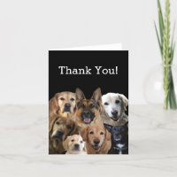 Dog Lover Thank You Card