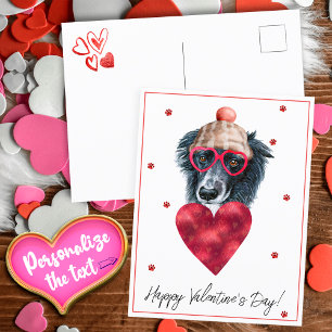 Dog Lover Valentine Gift Border Collie Holiday Postcard
