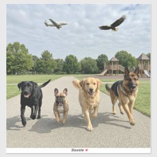 Dog Lovers