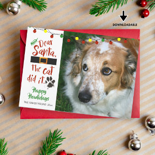 Dog Lovers, "Dear Santa, The Cat Did It"-1 Photo Holiday Card