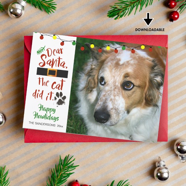 Dog Lovers, "Dear Santa, The Cat Did It"-1 Photo Holiday Card (Creator Uploaded)