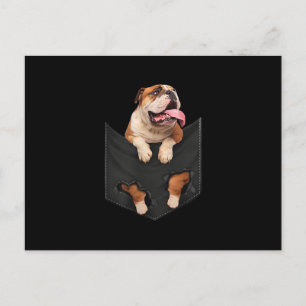 Dog Lovers English Bulldog In Your Pocket Dogs Holiday Postcard