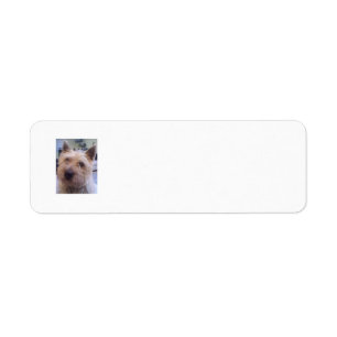 Dog lovers return address label
