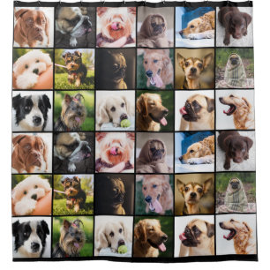 Dog Lover's shower curtain