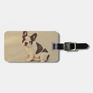 Dog Luggage Tag