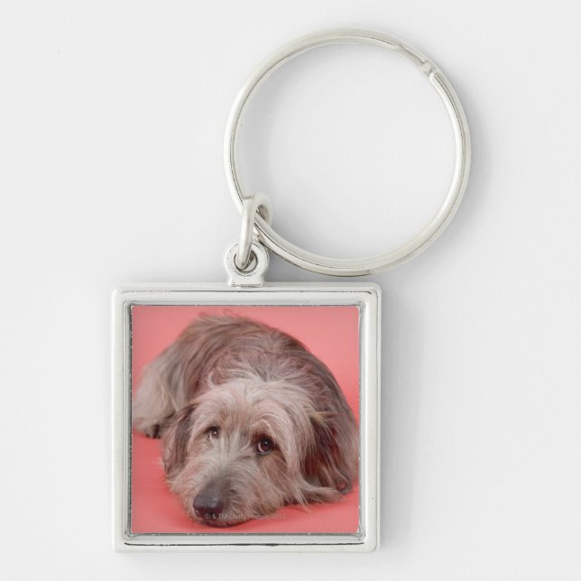 Dog lying down key ring (Front)