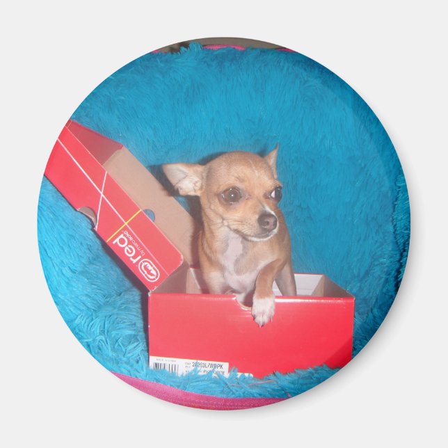Dog magnet (Front)