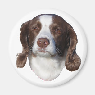 Dog magnet