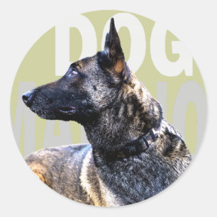 dog malinois clouded classic round sticker