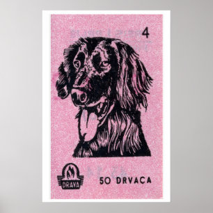Dog Matchbox Art Print, Croatian Vintage Folk Art Poster