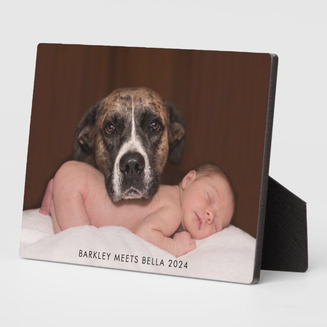 Dog Meets New Baby Plaque (Side)